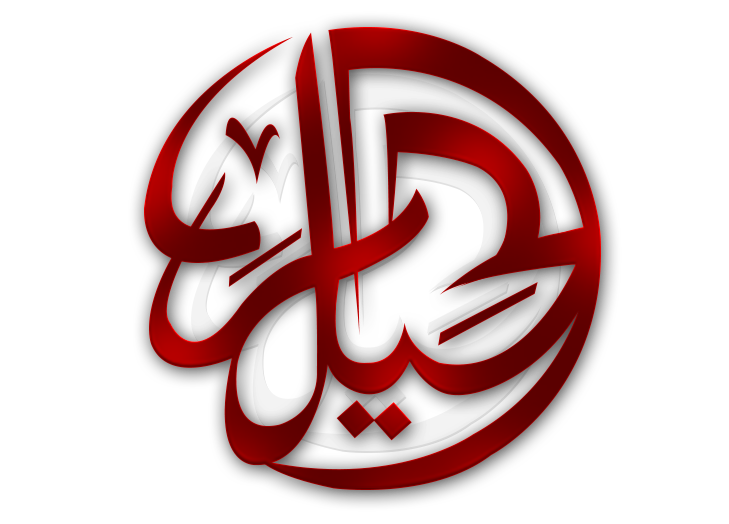 Al-Haider International Travels & Tours logo
